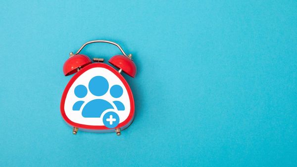 How to track the number of new followers on Twitter!