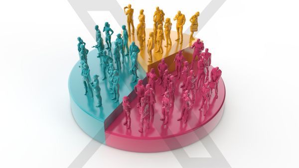 Know who you follow: Twitter friends demographics!