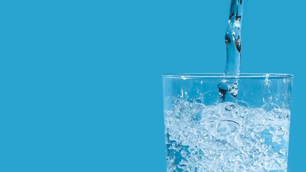 How to Get Rid Of Twitter Bots in 2026