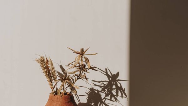 How do I grow my social media platforms in 3 months?