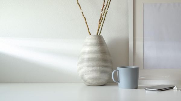 How do you remove a follower on Twitter on a Phone?