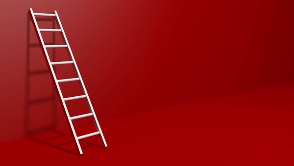 How can I increase fake followers on Twitter?