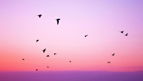 How to get 1,000 Twitter (X) followers in one week!