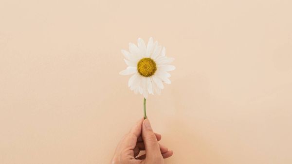 How do I share an article on Pinterest?