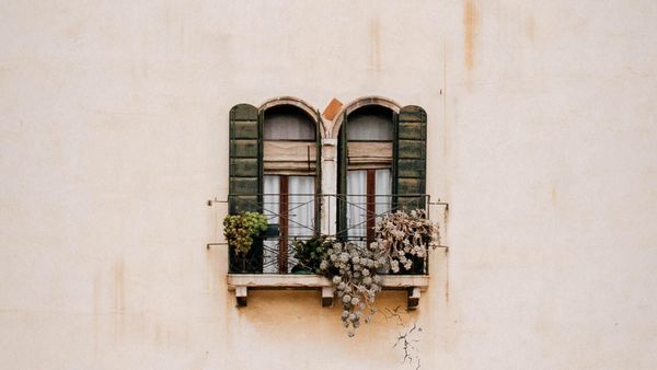 How do I sort Twitter followers by popularity?