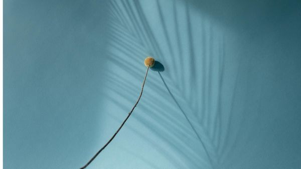 Can you see who views your Twitter profile?