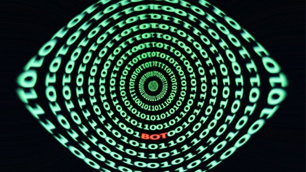 Should You Remove Bot Followers on Twitter?