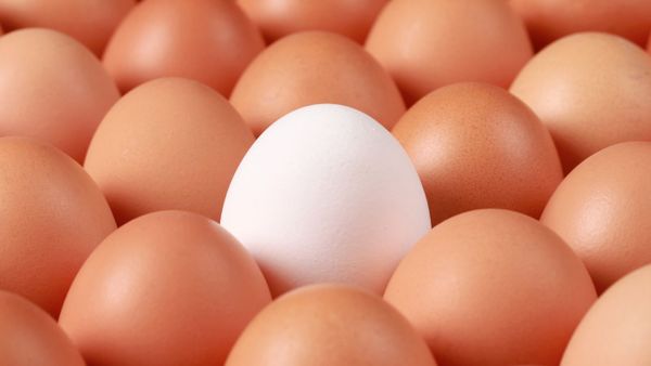 Hanging Chads on Twitter: A Comprehensive Guide