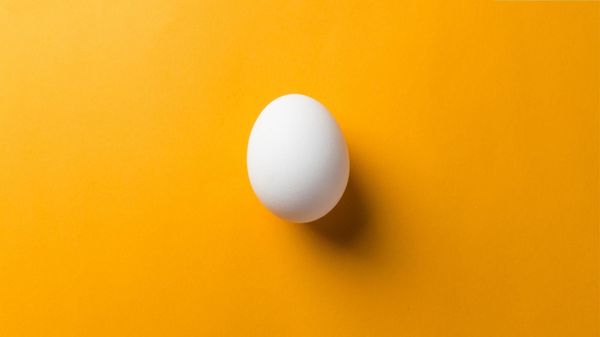 How to remove egghead Twitter followers!