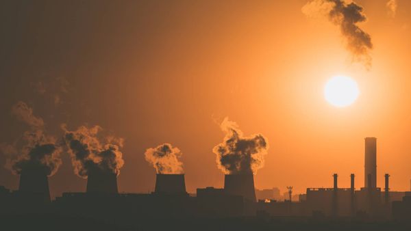 How to Auto-Unfollow Accounts Not Following Back on Twitter!