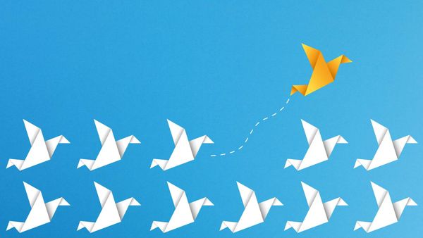 How can I change my Bluesky handle to my brand?