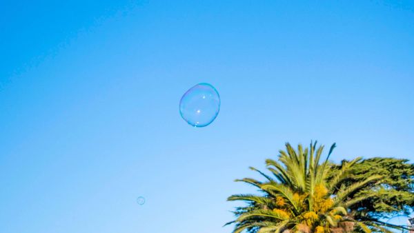 Who unfollowed me on Bluesky! Find those unfollowers with me 👊