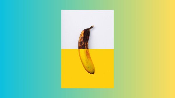 The Siren Song of Shortcuts: Should You Buy Aged Twitter Accounts? An Expert Guide!