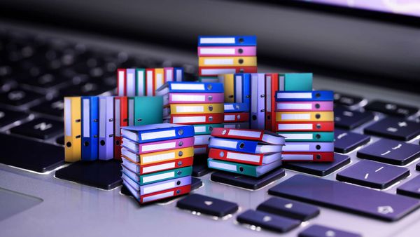 How can I download all media from Twitter bookmarks?