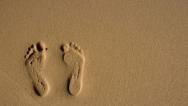 How can I delete my digital footprint?