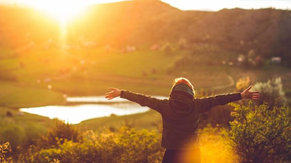 How to Delete All Retweets: Delete Retweets in Bulk!