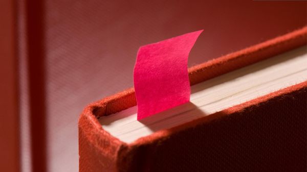 What Are the Best Twitter Bookmark Managers?