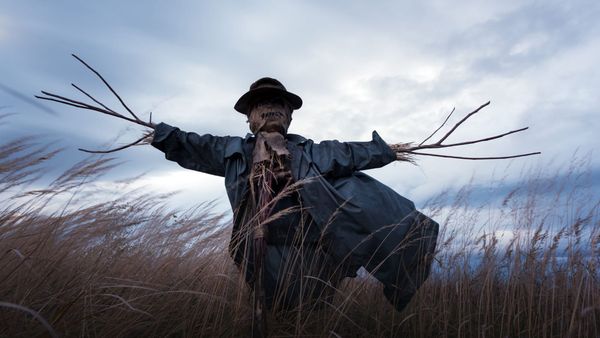 Twitter Scarecrows: The Silent Engagement Killers You Need to Remove