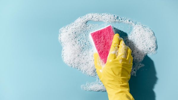 How to Delete All Followers on Twitter (Without Risking Your Account)