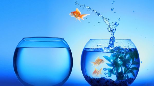 Is It Possible to Share Your Own Posts Outside Twitter (X)?