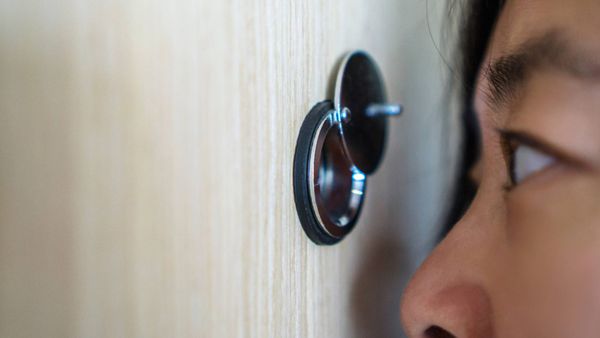 How to Check Someone’s New Followers on X w/ Daily Reports