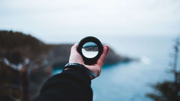 Who Follows Whom on X: Twitter Follower Tracker