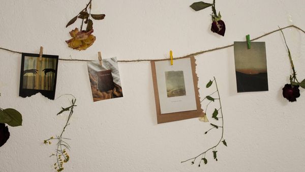 How Do I Link X to Instagram?