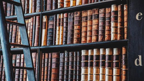 How to Manage Too Many Twitter (X) Bookmarks