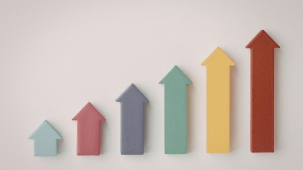 How to Track Someone’s Following Change Daily on X (Twitter)