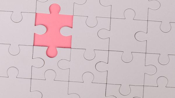 What’s the Difference Between Bots and Automated Accounts on Twitter (X)?