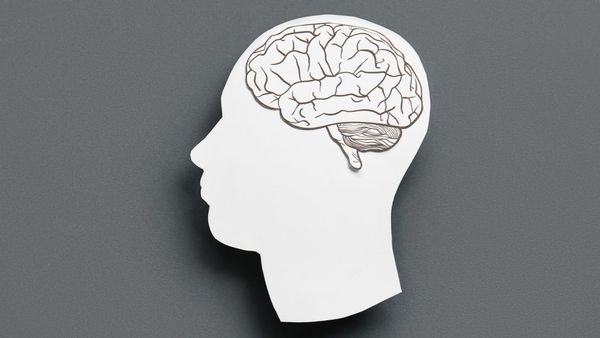 Twitter (X) IQ Checker