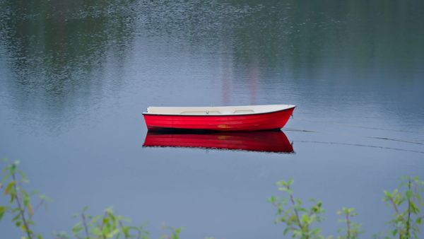 Are Twitter (X) Reply Guys Dead Now?