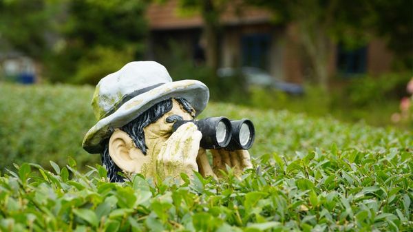 How to Stalk Someone on X (Twitter)