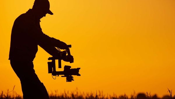 Twitter Video Finder