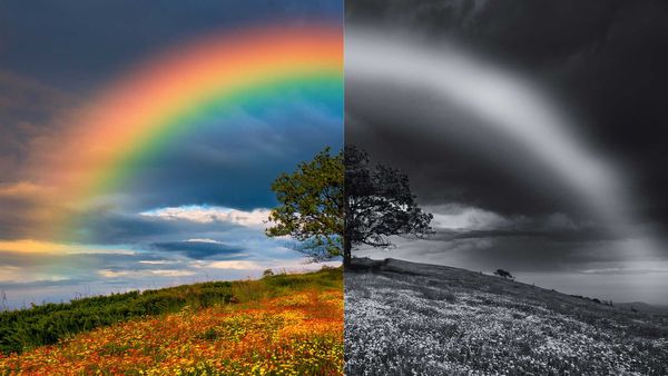 Do LGBTQ People Really Get Targeted by Shadowbans on Twitter?