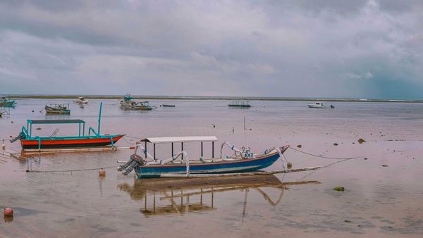 How Do I Avoid Bots and Low-Quality Traffic on X?