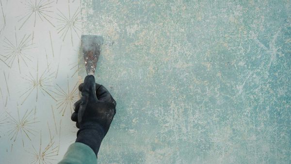 How Do Professional Social Media Managers Use Remove Twitter Followers Capability to Combat Spam Followers, and Which Tools Support Bulk Actions?