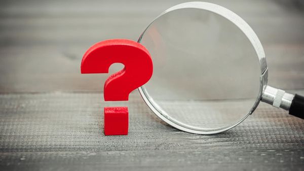 Can I Check If Another Account Has Fake Followers on Twitter?