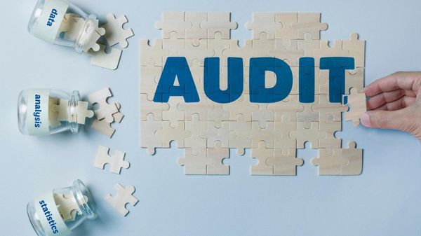 How to run a bot audit on your Twitter account