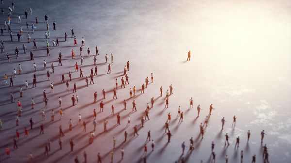 Which of your X posts actually brought you new followers?