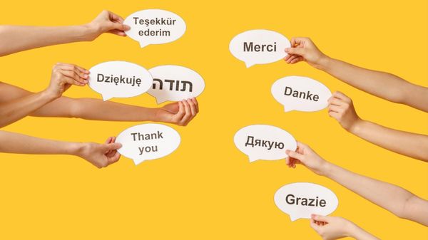 How to identify Twitter follower languages