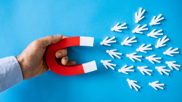 How to find your real organic Twitter followers