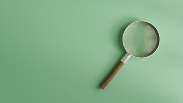 How to track a competitor's follower growth day by day on Twitter