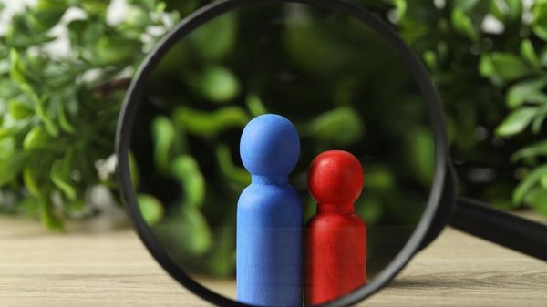 How to find bot followers on Twitter