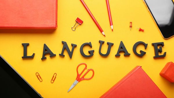 How to check what language your Twitter followers speak