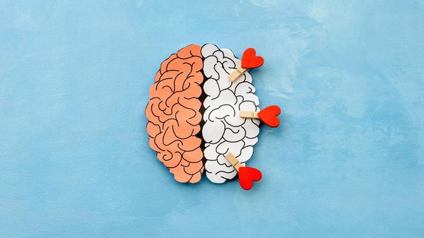 How to run a Twitter account personality analysis