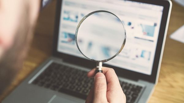 How to check active followers on X (Twitter)