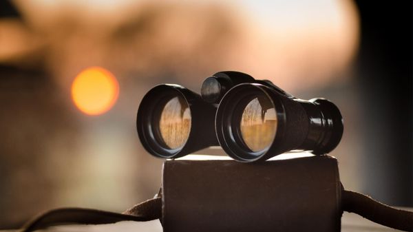 How to see your Twitter followers
