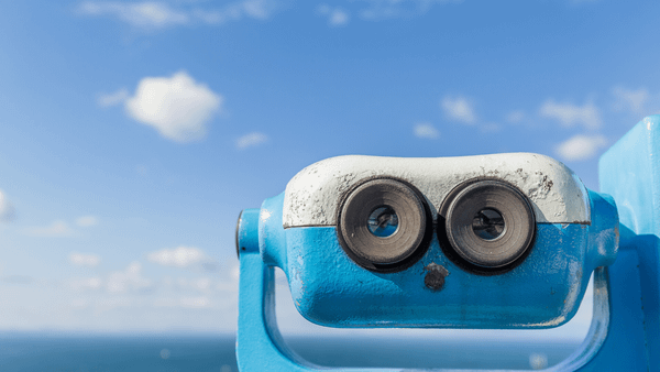 How to use an X following list viewer to audit who you follow