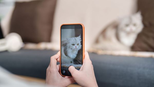 Instagram 3:4 Crop Preview